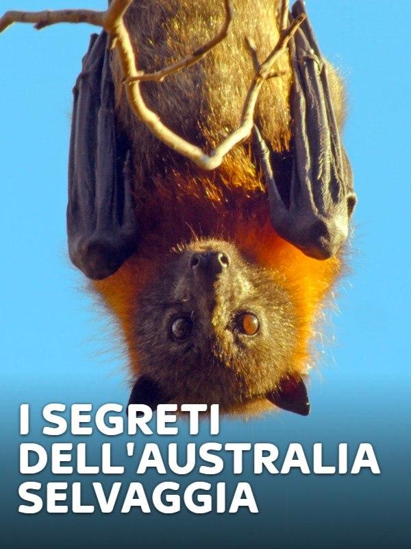 I segreti dell’Australia selvaggia