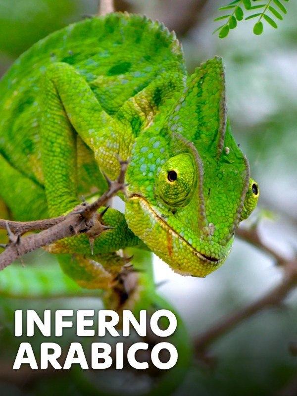 Inferno arabico