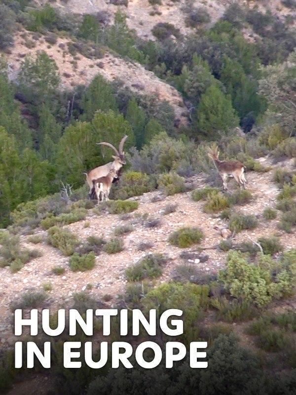 Hunting in Europe