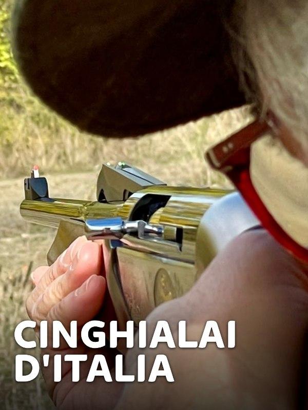 Cinghialai d’Italia