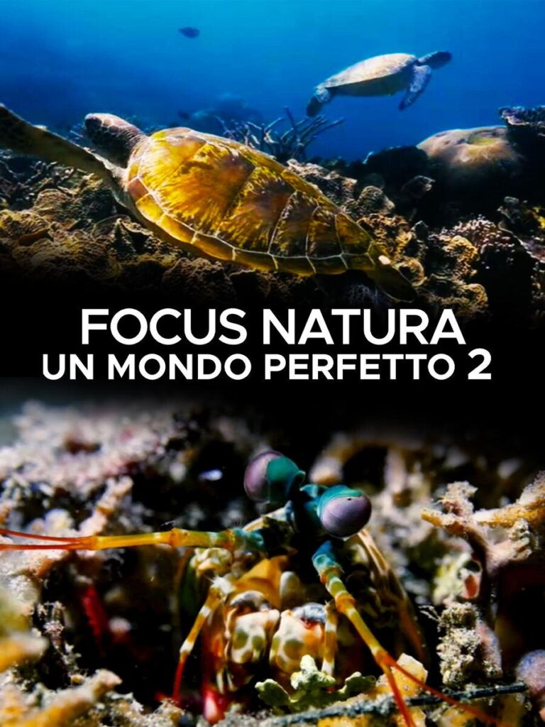 Focus natura: un mondo perfetto