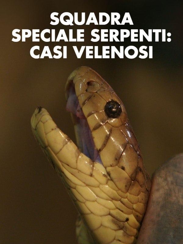 Squadra speciale serpenti