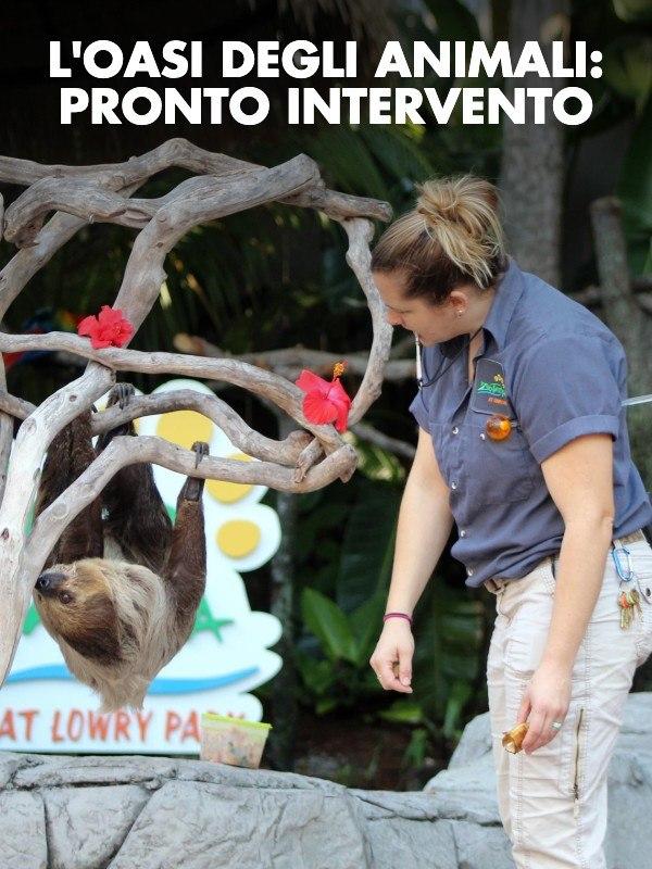 L’oasi degli animali: pronto intervento