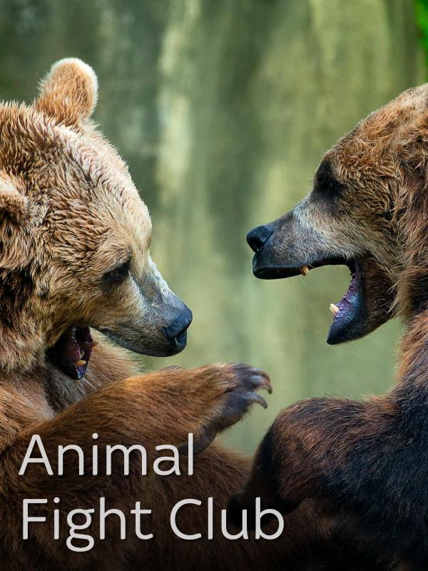 Animal Fight Club: senza regole Animal Fight Club: senza regole