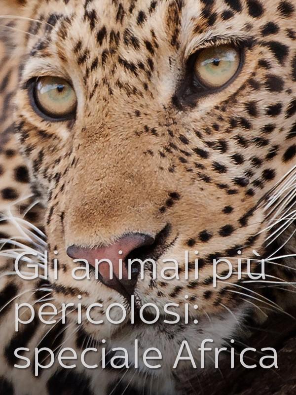 Gli animali piu’ pericolosi: Botswana