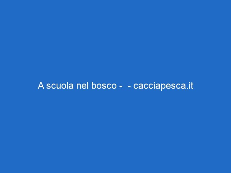 A scuola nel bosco – – cacciapesca.it A scuola nel bosco – – cacciapesca.it