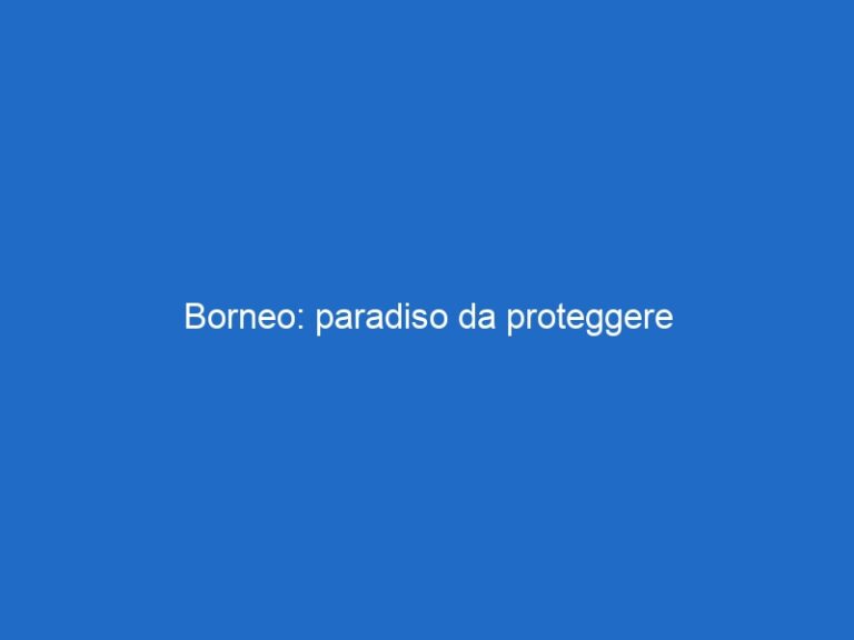 Borneo: paradiso da proteggere