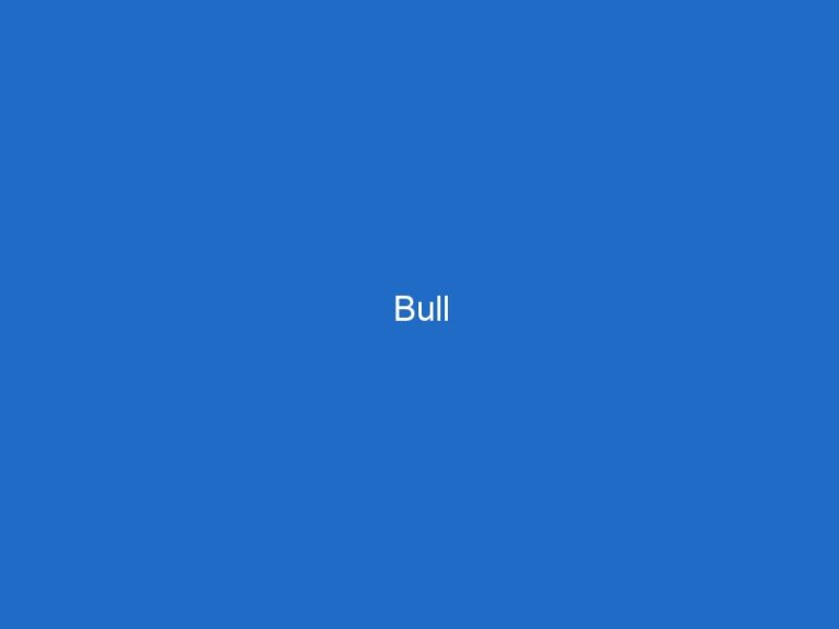 Bull