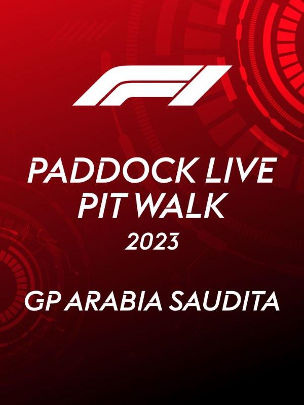 GP Arabia Saudita – Sport – skysport24.it