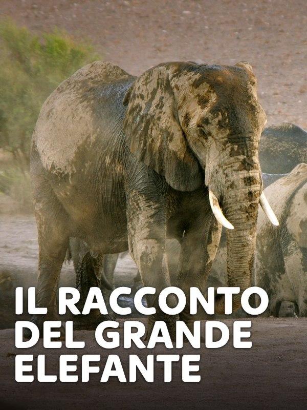 Il racconto del grande elefante – Mondo e Tendenze – skynature.it