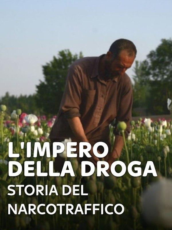 L’impero della droga – Storia del narcotraffico – Mondo e Tendenze – skydocumentaries.it