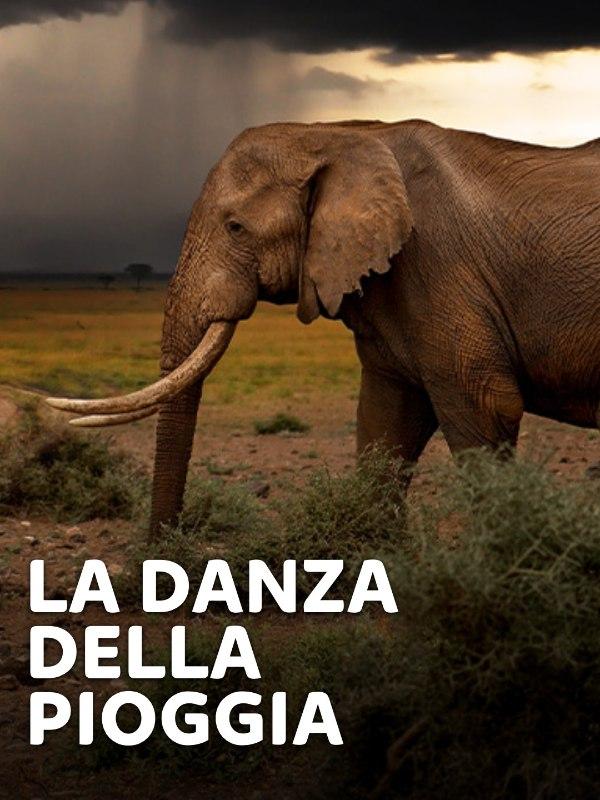 La danza della pioggia – Mondo e Tendenze – skynature.it
