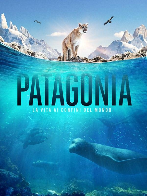 Patagonia – La vita ai confini del mondo – Mondo e Tendenze – skynature.it Patagonia – La vita ai confini del mondo – Mondo e Tendenze – skynature.it