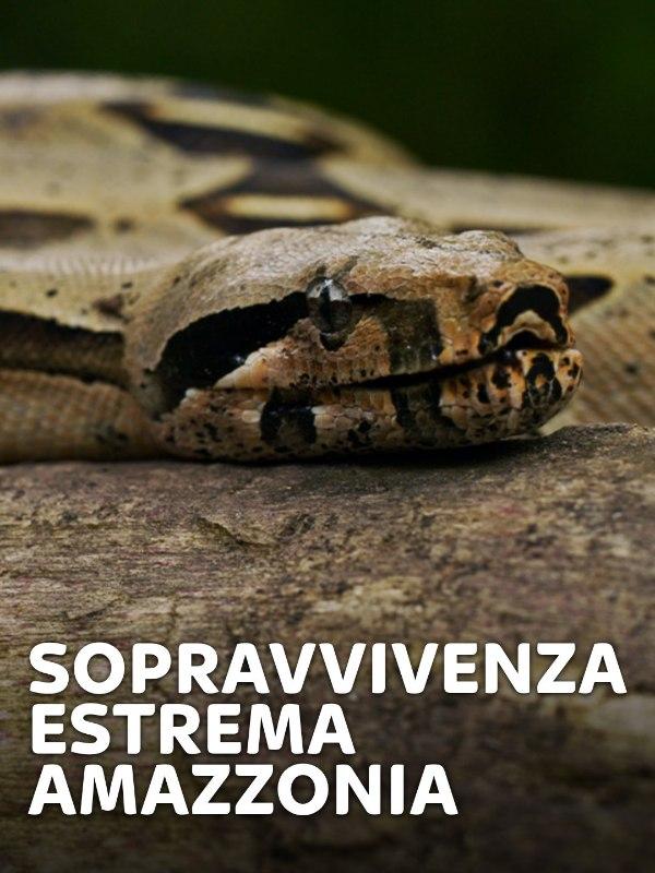 Sopravvivenza estrema – Amazzonia – Mondo e Tendenze – skynature.it Sopravvivenza estrema – Amazzonia – Mondo e Tendenze – skynature.it