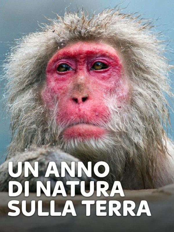 Un anno di natura sulla Terra – Mondo e Tendenze – skynature.it