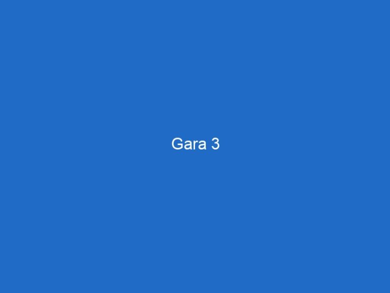 Gara 3
