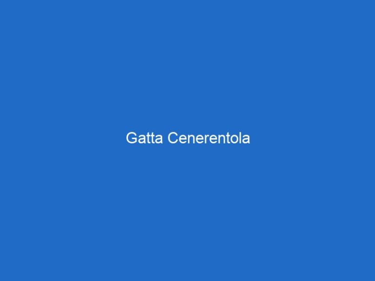 Gatta Cenerentola