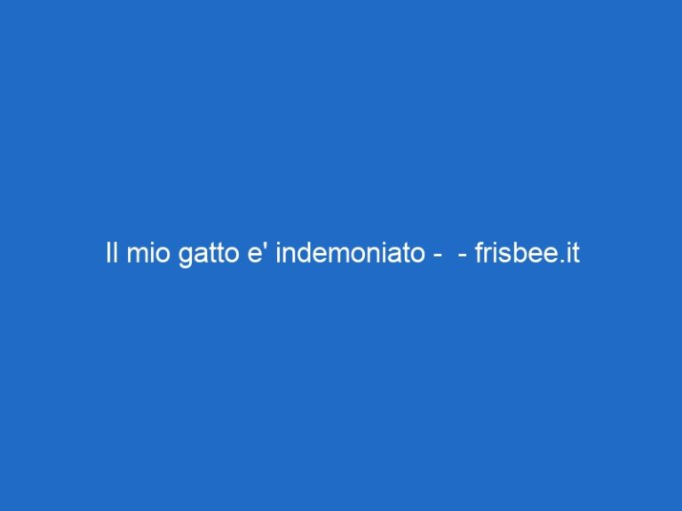 Il mio gatto e’ indemoniato –  – frisbee.it