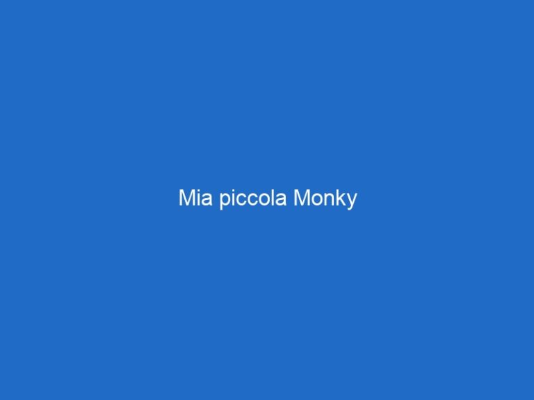 Mia piccola Monky