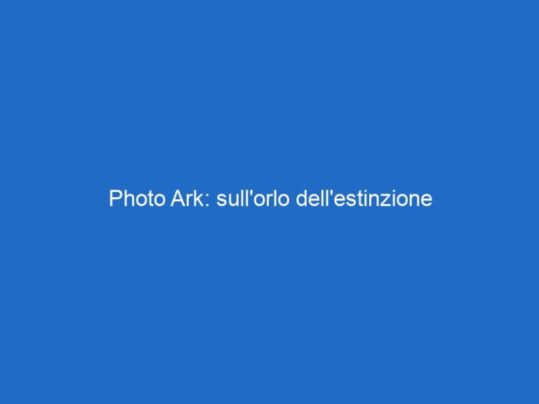 Photo Ark: sull’orlo dell’estinzione