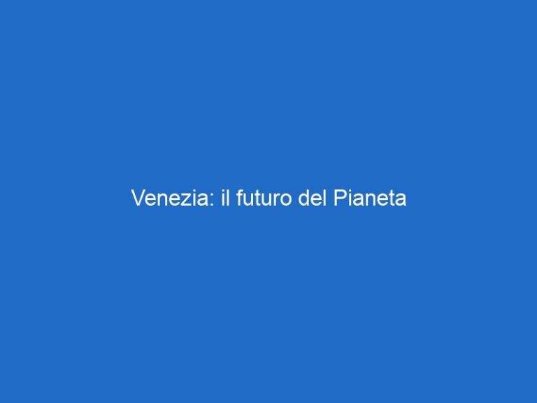 Venezia: il futuro del Pianeta